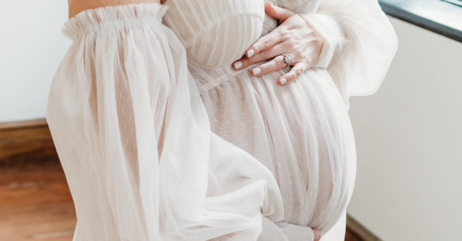 Free Pregnancy Wellness Guide image