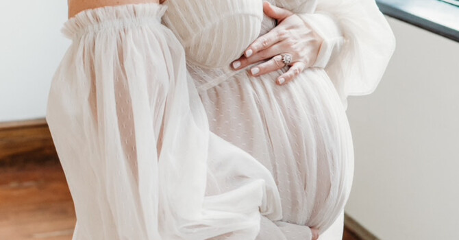 Free Pregnancy Wellness Guide image